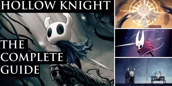 Hollow Knight - A Comprehensive Guide