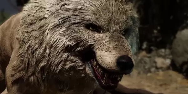 Baldur's Gate 3 has cut a werewolf bard companion