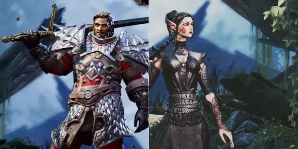 Divinity Original Sin 2 Here is the best class choice for each main character companion